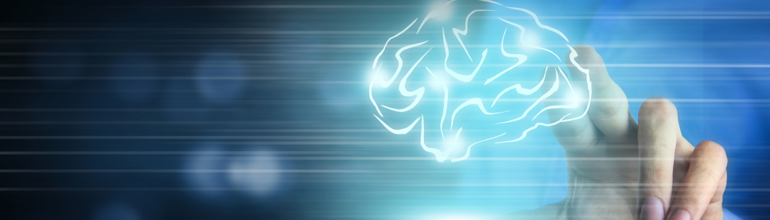 Human brain activity with plexus lines